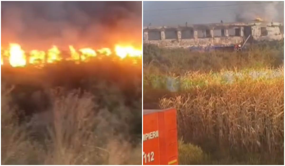 Un tren de călători a luat foc în stația Oradea Vest. Pasagerii au ieşit singuri