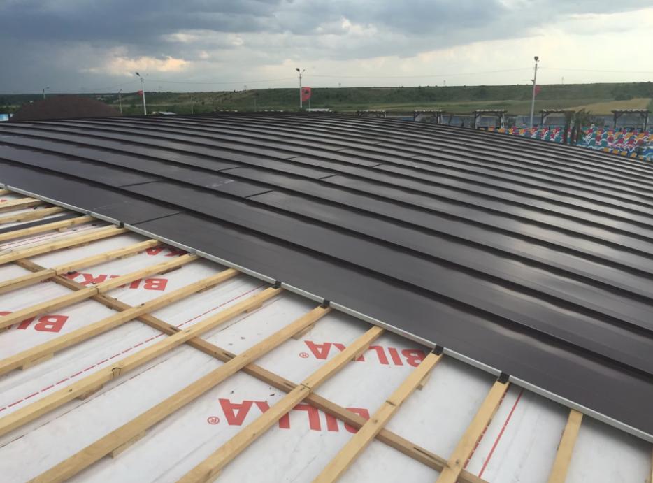 (P) Cum protejăm casa împotriva scurgerilor de apă prin acoperiș