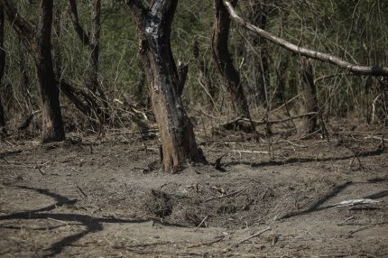 Armata anunţă că verifică dacă au căzut drone în Tulcea după atacul ruşilor de azi-noapte. Panicaţi, localnicii au sunat la 112