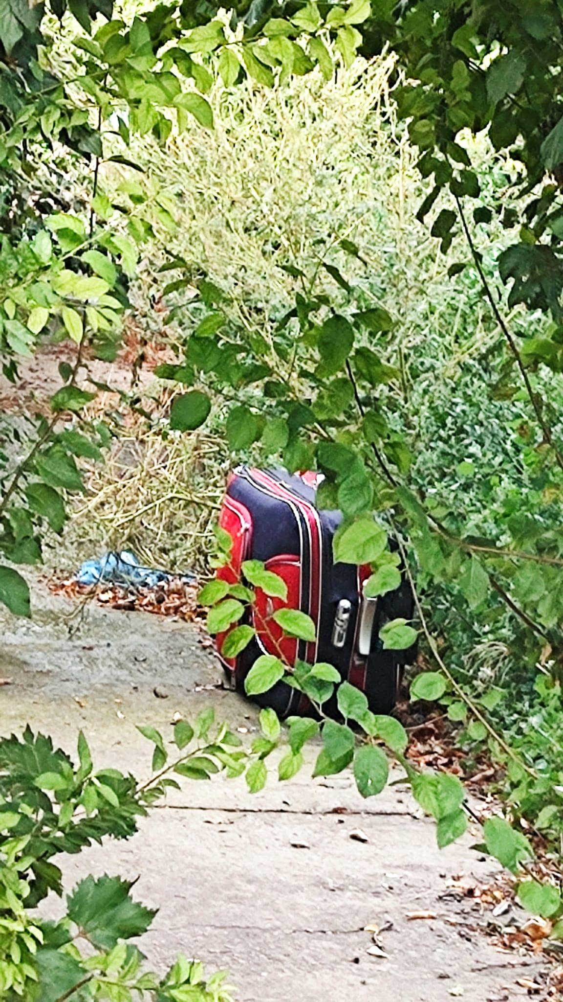 O geantă abandonată a pus pe jar poliţia din Brăila. În interoriul nu se afla nimic altceva decât o zebră uriaşă de pluş