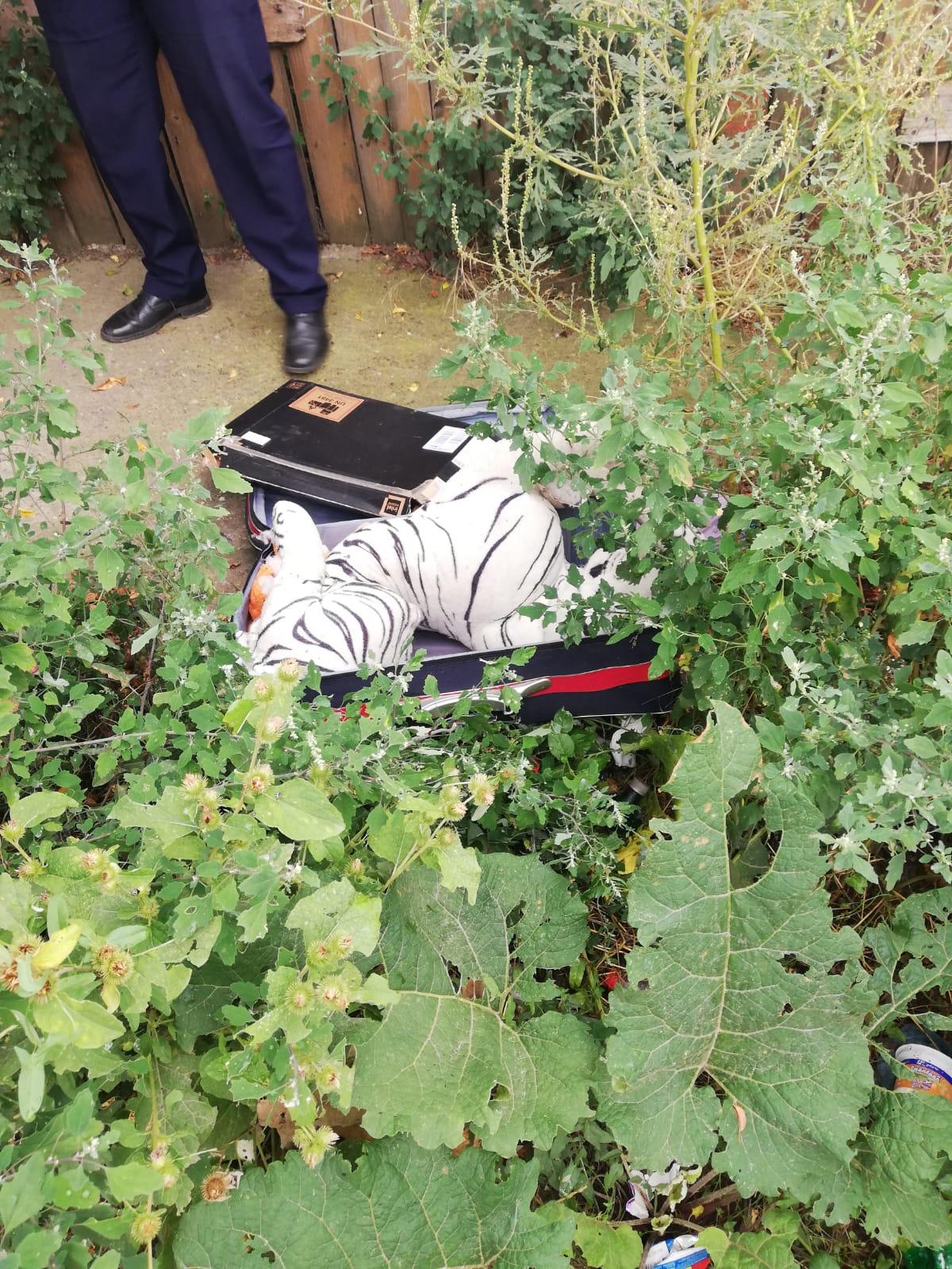 O geantă abandonată a pus pe jar poliţia din Brăila. În interoriul nu se afla nimic altceva decât o zebră uriaşă de pluş