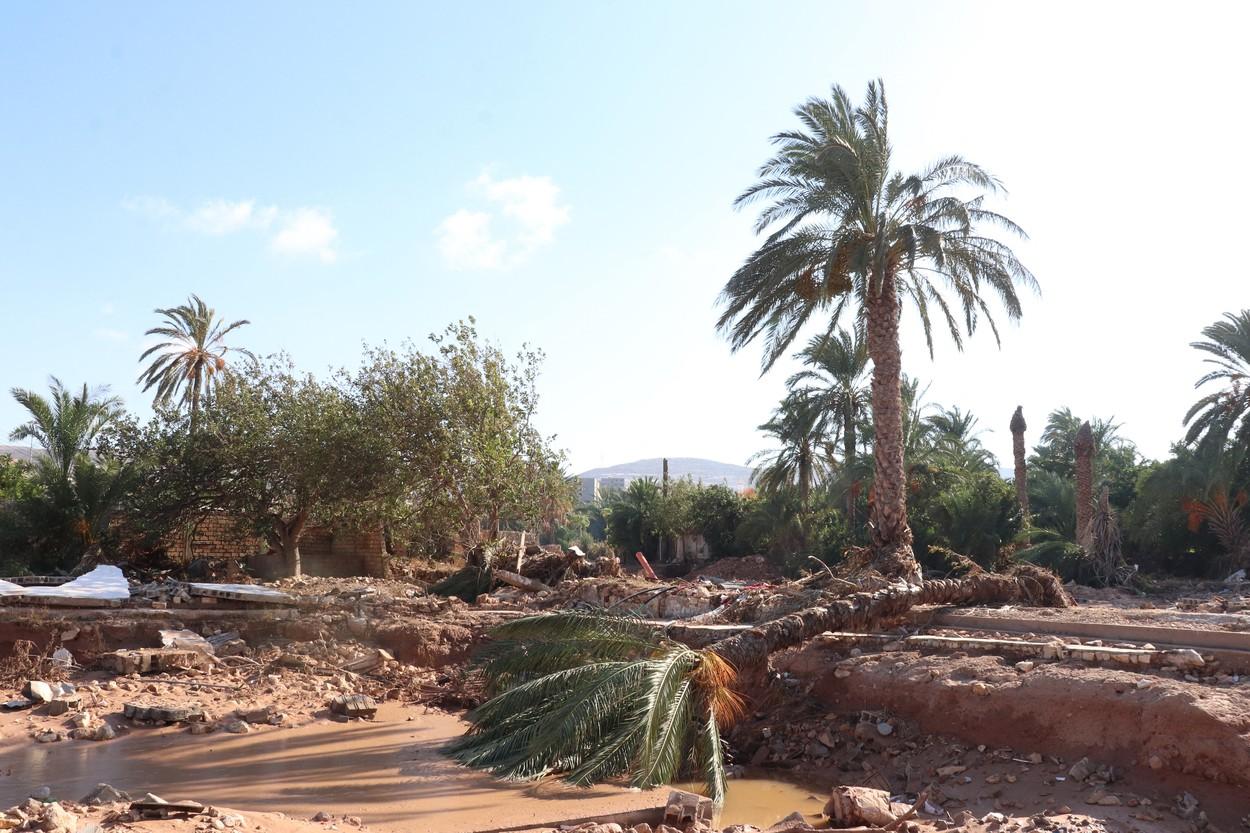 "Nu vrem mâncare, aduceţi-ne pungi pentru cadavre". Risc de holeră în Libia. Localnicii sunt martorii unor scene de groază: rămăşiţele celor ucişi ies la suprafaţă