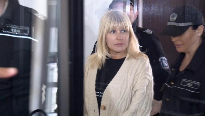 ANAF a scos la vânzare un teren de 5.000 de metri pătraţi din Bucureşti care aparține Elenei Udrea. La cât este evaluat