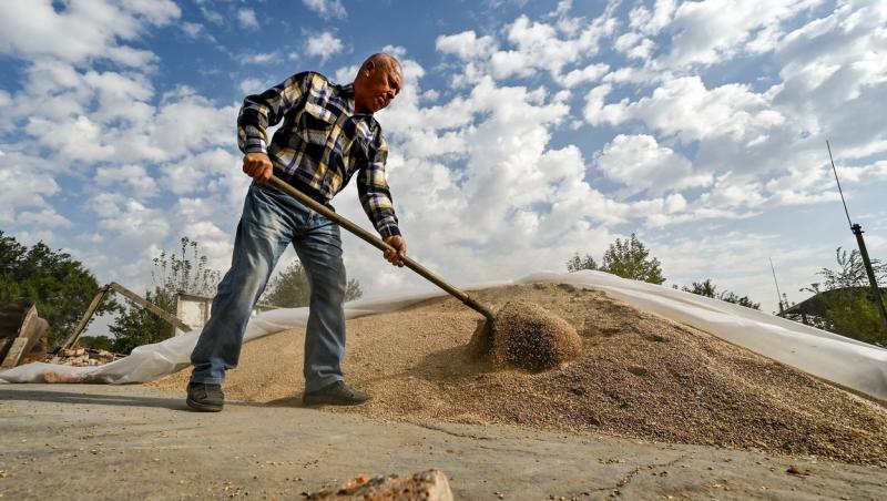 Surse: Guvernul ia în calcul prelungirea embargoului la cerealele ucrainene. Discută cu Bruxelles-ul şi Ucraina pentru a evita sancţiuni