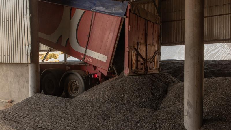 Ucraina anunţă că se pregăteşte să dea în judecată Polonia, Ungaria şi Slovacia din cauza embargoului la cereale