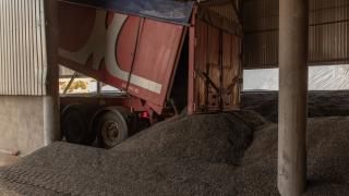 Ucraina anunţă că se pregăteşte să dea în judecată Polonia, Ungaria şi Slovacia din cauza embargoului la cereale