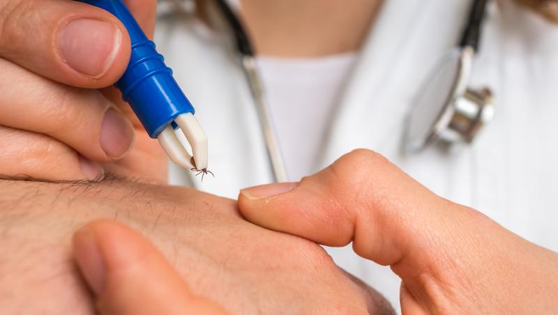 Pas uriaș în lupta cu boala Lyme, supranumită boala cu 1000 de fețe. Reușita cercetătorilor americani