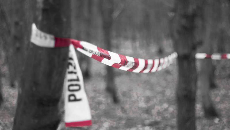 Copil de 6 ani, dat dispărut de părinți, a murit la spital după ce a fost găsit grav rănit. Presupusul criminal, un adolescent de 14 ani, a fost reținut în Germania
