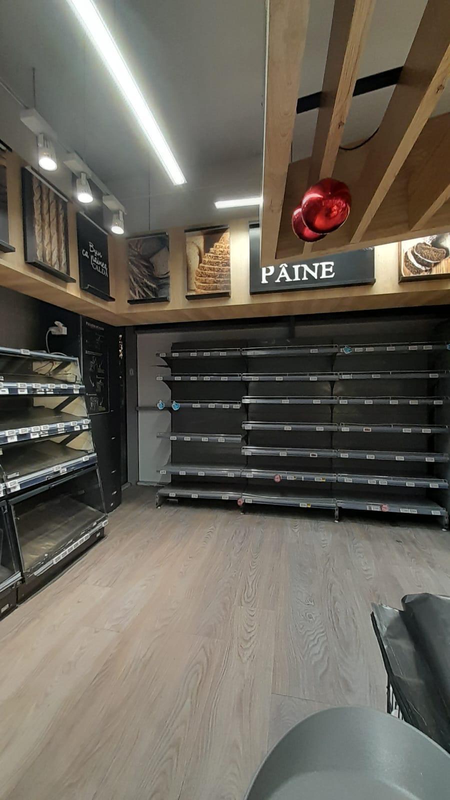 Şobolan surprins în magazinul Mega Image Domenii