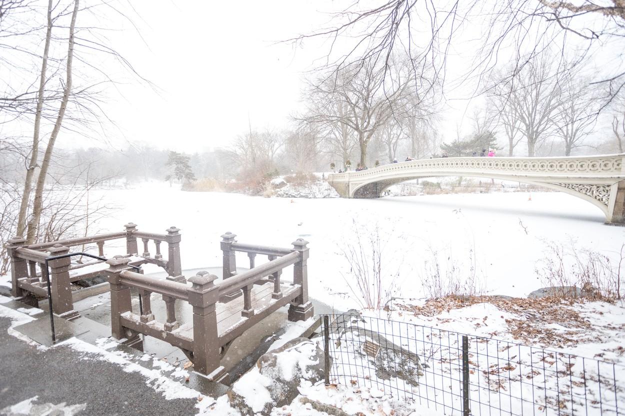 50 de oameni au murit în ultima săptămână, după iarna severă care a lovit SUA