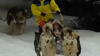 Zăpada proaspăta i-a cucerit pe turiştii din toată ţara. 60 de câini Husky au oferit o experienţă ca în Alaska