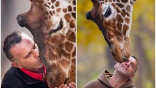 Tragedie la o grădină Zoo din Macedonia. O girafă a murit la doar câteva ore după ce îngrijitorul ei de 44 de ani a pierit inexplicabil