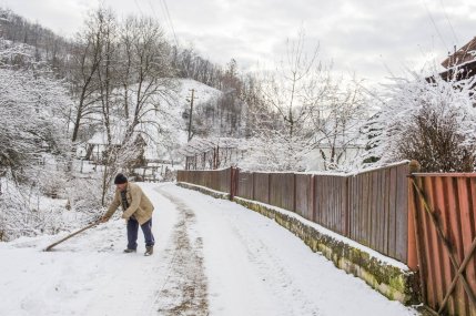 ninsori în România