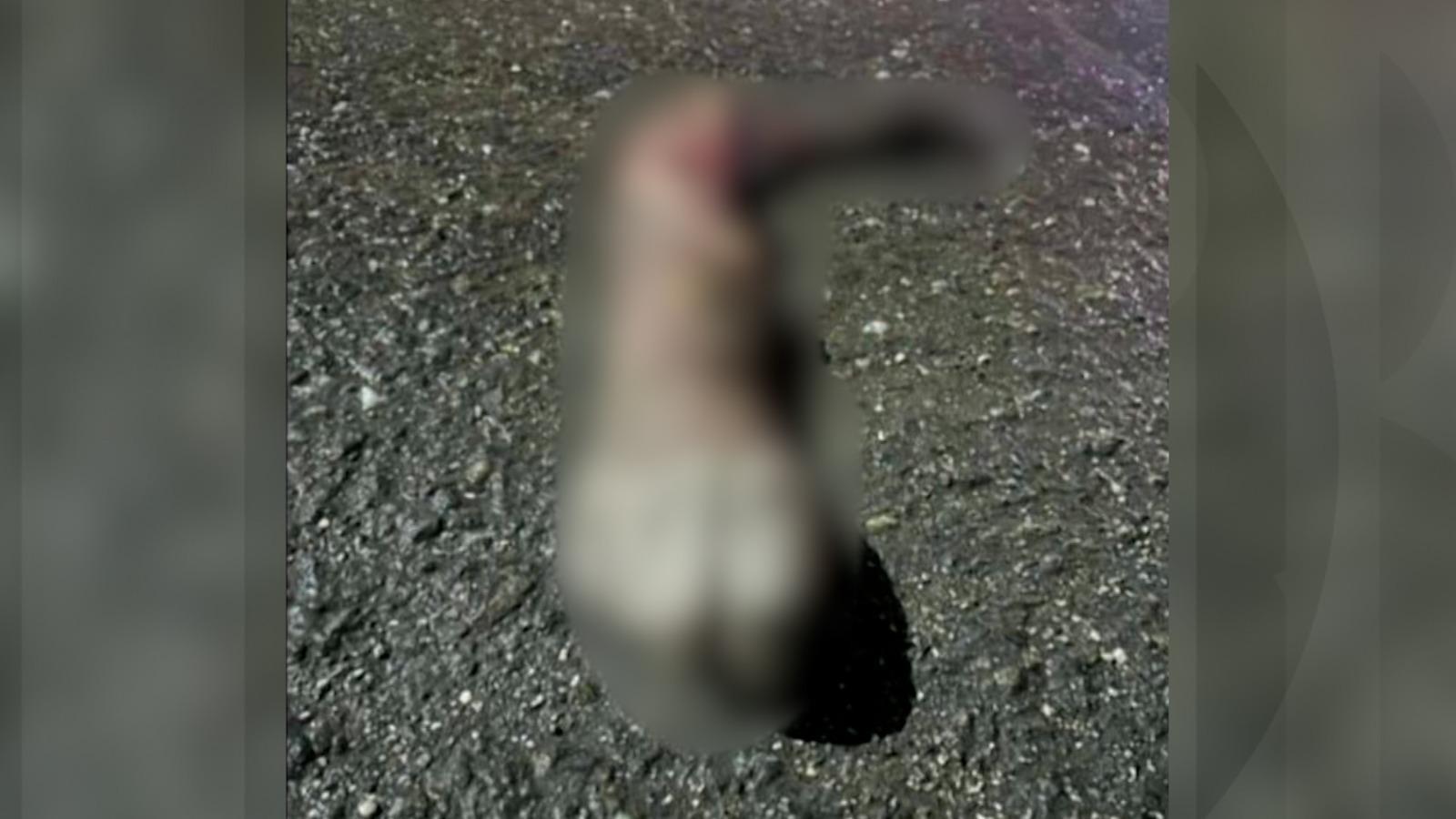 Cazul mâinii găsite pe un drum din Argeş. Fiul bărbatului este suspectul principal. Tânărul de 25 de ani, arestat preventiv