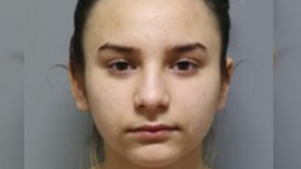 A plecat să ducă gunoiul şi nu s-a mai întors. Elisa, o fată de 15 ani din Alba, dată dispărută de familie