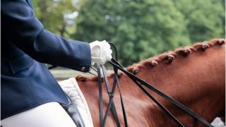 Tânăr rănit de un cal, în timpul unei curse tradiționale organizată de Bobotează. Animalul a scăpat de sub control și a intrat în mulțimea de oameni