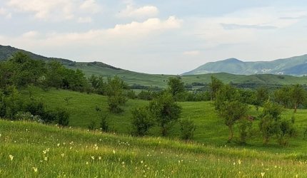 Satul din România unde metrul pătrat de teren se vinde cu un leu. Aici nu a mai rămas niciun locuitor