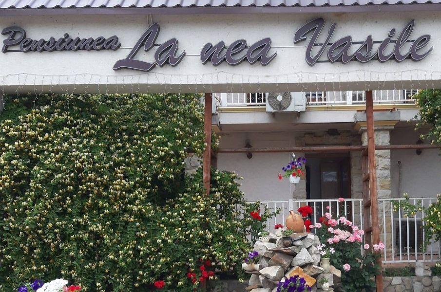 Pensiunea La Nea Vasile din Vaslui