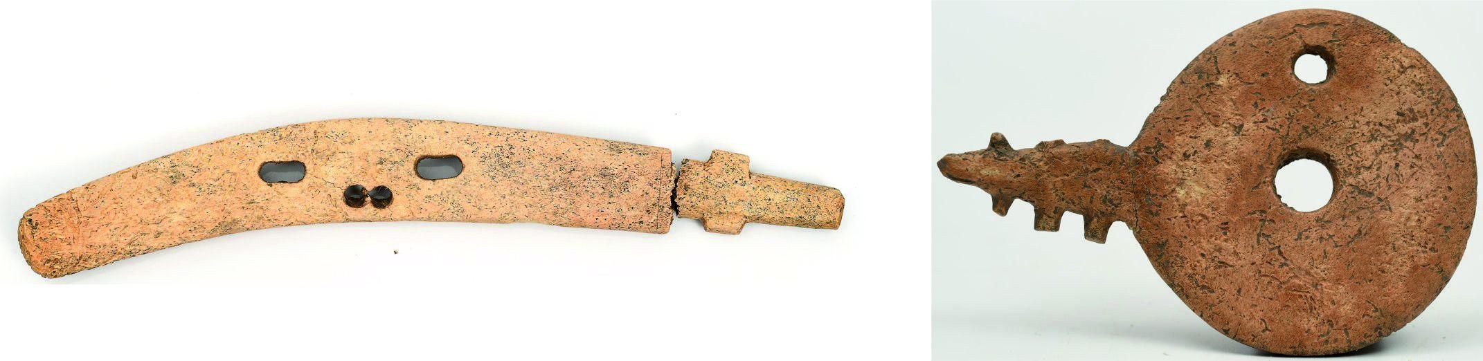 Scheletele unor cai preistorici, din Epoca Bronzului, găsite în Covasna. Arheolog: "O descoperire senzaţională!"