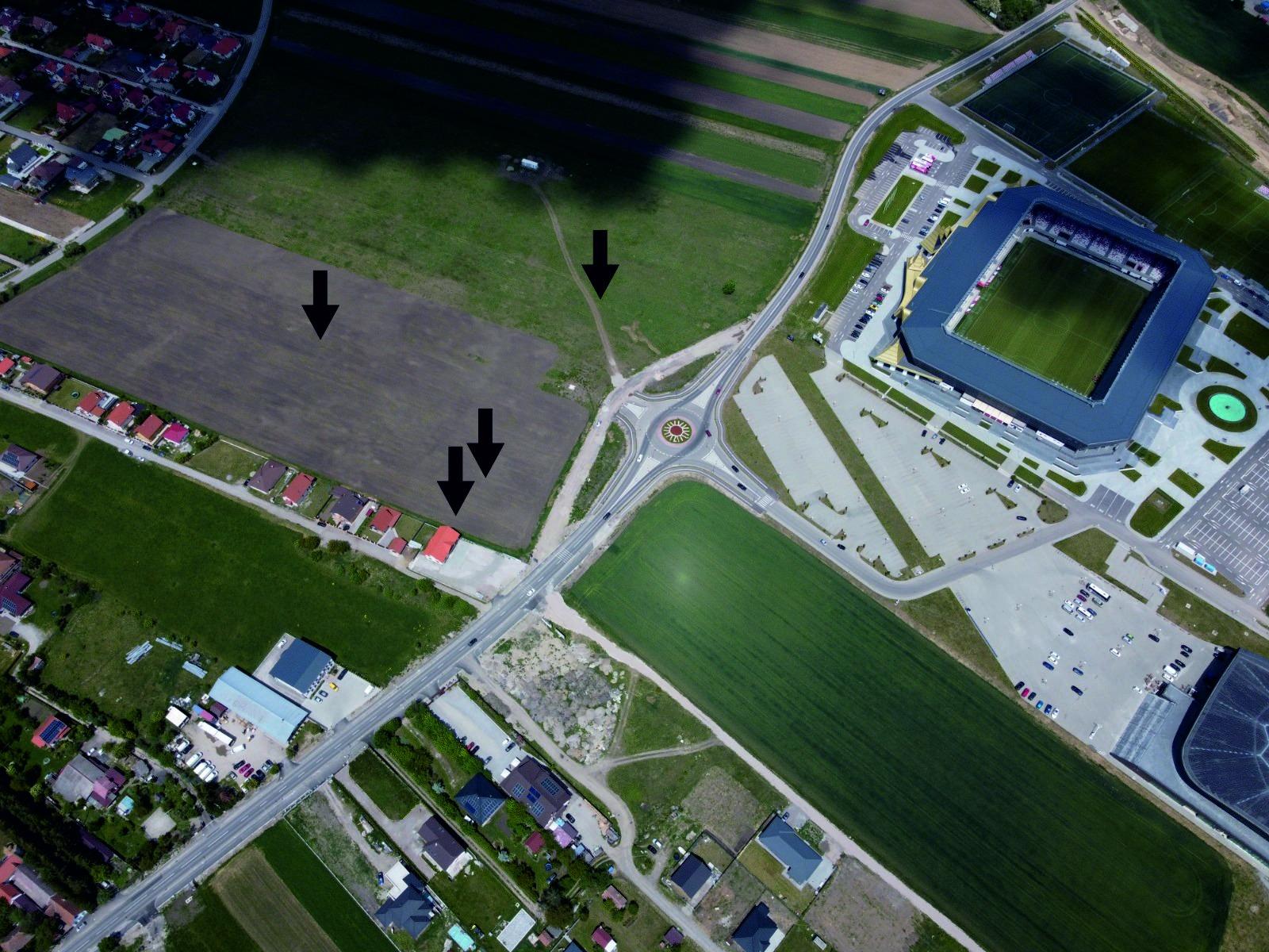 Scheletele unor cai preistorici, din Epoca Bronzului, găsite în Covasna. Arheolog: "O descoperire senzaţională!"