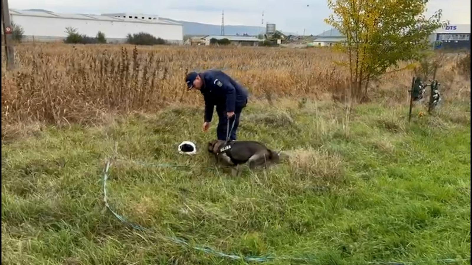 Copiii dispăruți ai milionarului Adrian Marțian, căutați de polițiști cu un câine de urmă