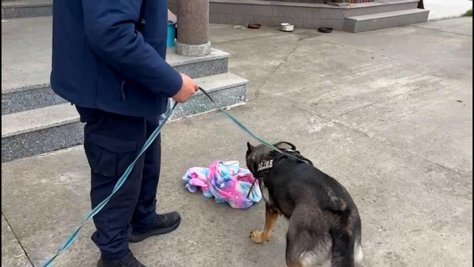 Copiii dispăruți ai milionarului Adrian Marțian, căutați de polițiști cu un câine de urmă