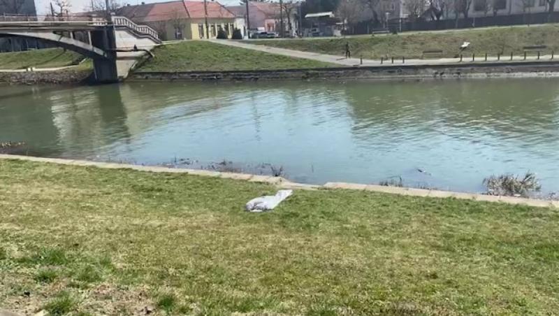 Cadavrul unui bărbat de 50 de ani, găsit plutind pe Canalul Bega în Timișoara