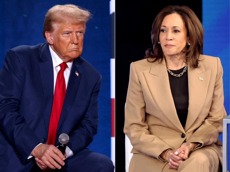 Cele şapte state swing care vor decide alegerile în SUA. Cine e favorit să câştige Trump vs. Harris