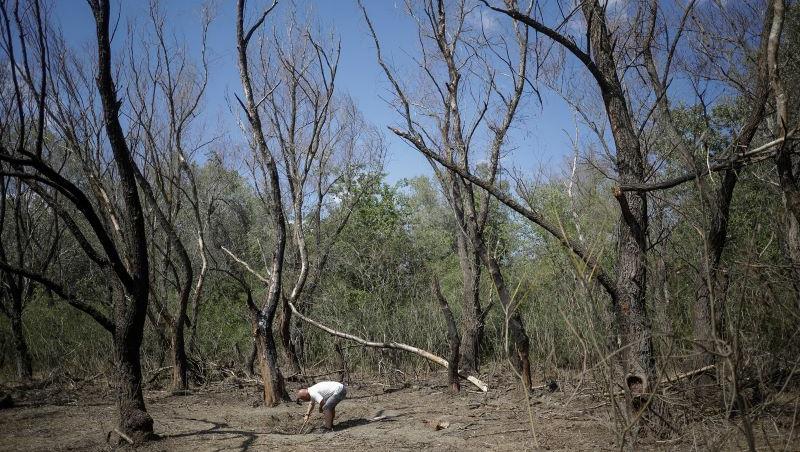 Reacţia lui Marcel Ciolacu, după ce noi fragmente de dronă rusească au ajuns în ţara noastră. "Cunoaștem traseul perfect. România e o țară sigură"