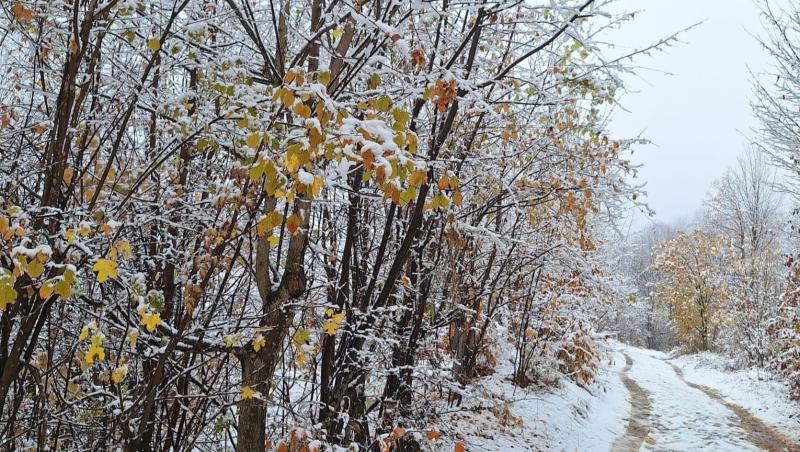 Lapoviţă, ninsori și strat nou de zăpadă în mai multe zone. ANM a actualizat prognoza meteo pentru următoarele 4 săptămâni