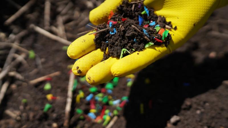 Descoperire revoluţionară în Africa. Cercetătorii au găsit în premieră o specie de insectă care poate mânca plastic