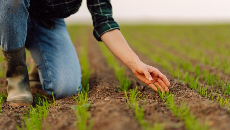 România, al şaptelea producător agricol din UE în 2023. Scădere uşoară a producţiei la nivel european