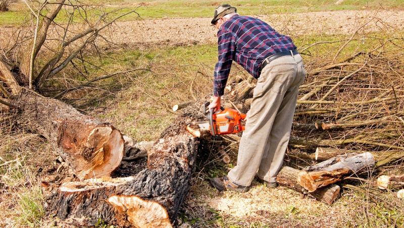 Un bărbat de 51 de ani a murit strivit de un copac într-un sat din Bistriţa-Năsăud