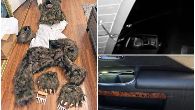 Un bărbat în costum de urs şi-a distrus maşinile Rolls-Royce şi Mercedes pentru asigurare. Câţi bani a făcut până să fie prins