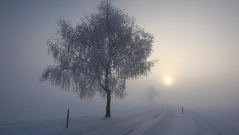 Informare de vreme severă în România, până sâmbătă seară. Ploi, lapoviță, ninsori, viscol puternic la munte, frig şi vânt puternic în rest