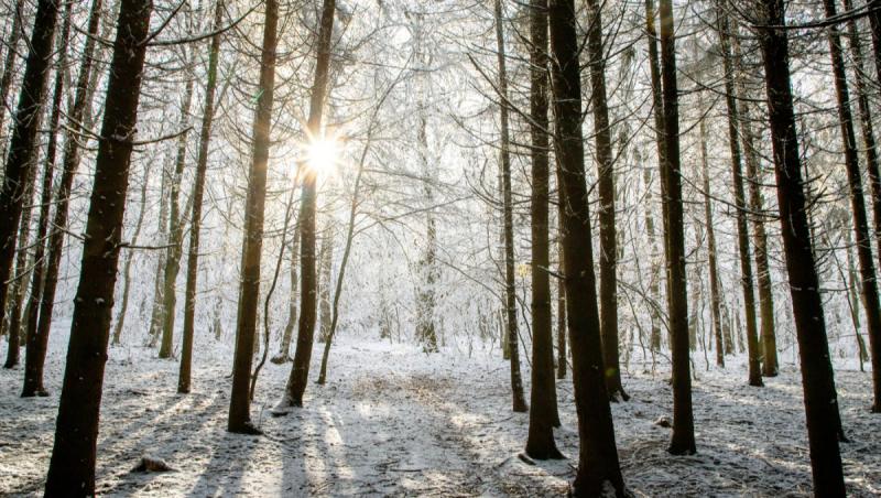 Vremea 25 noiembrie - 23 decembrie. Ce temperaturi vor fi până în ajun de Crăciun