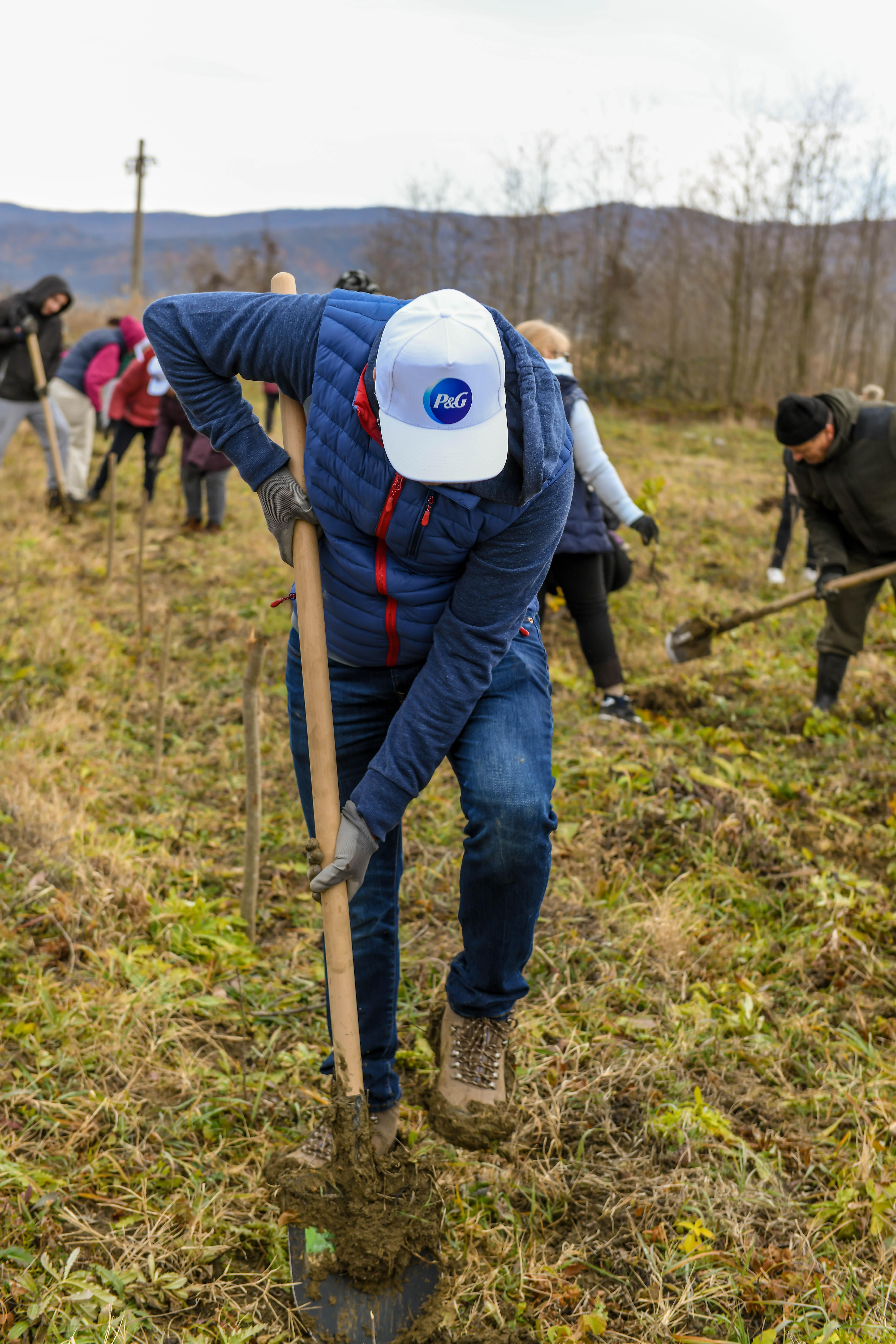 (P) Peste 600 de copaci plantați de voluntarii P&G și Carrefour România pe Valea Buzăului