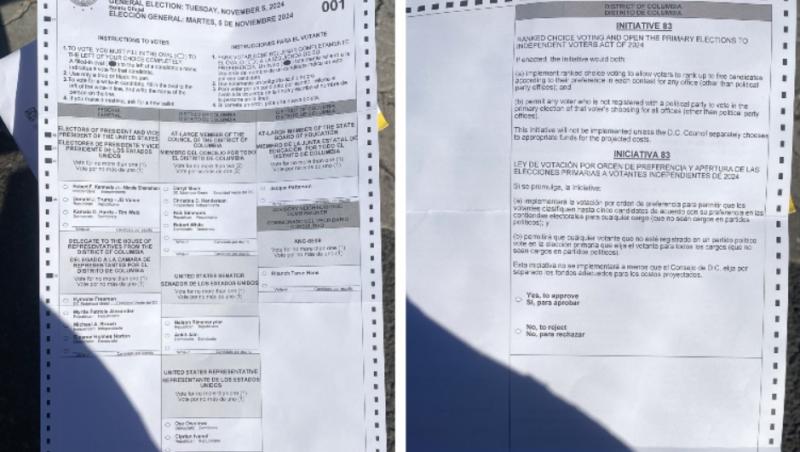 Cum arată buletinul de vot în SUA. Măsurile de siguranţă care îl fac aproape imposibil de fraudat