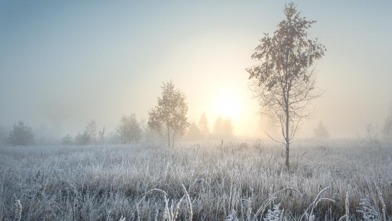 Oraşul din România care a îngheţat la minus 12 grade Celsius, azi dimineaţă. A fost cea mai scăzută temperatură din țară