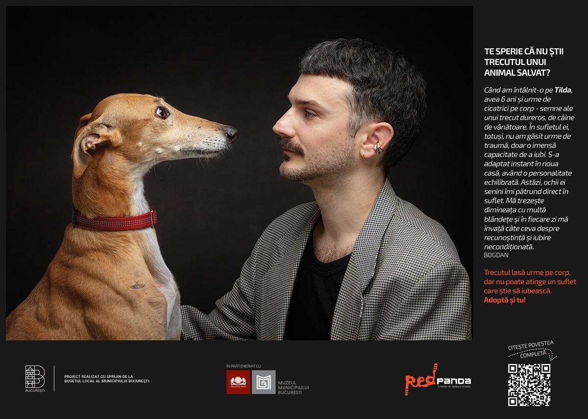 Studiu Red Panda: De ce preferă bucureștenii să cumpere căței, în loc să adopte? Criterii și mituri care ghidează includerea unui animal de companie în familie