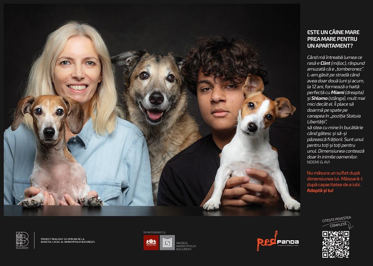 Studiu Red Panda: De ce preferă bucureștenii să cumpere căței, în loc să adopte? Criterii și mituri care ghidează includerea unui animal de companie în familie