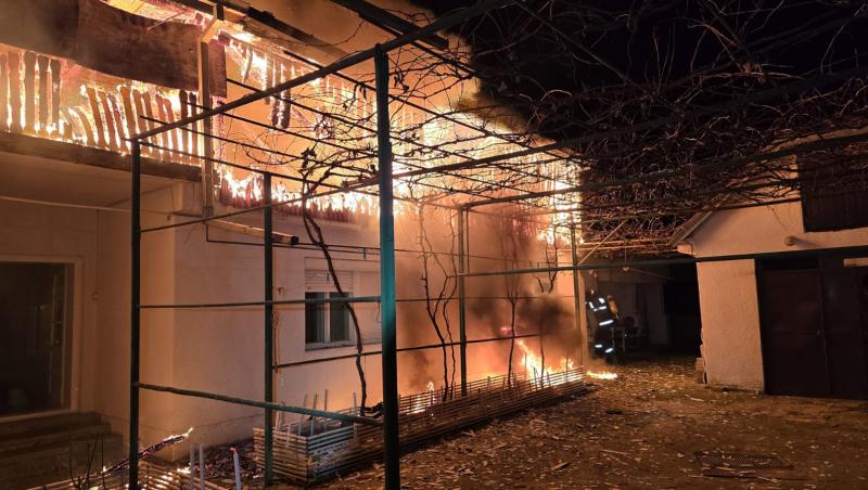 Salvată de un erou neaşteptat. Câinele vecinului, înger păzitor pentru o bătrână căreia îi luase foc casa, în Satu Mare