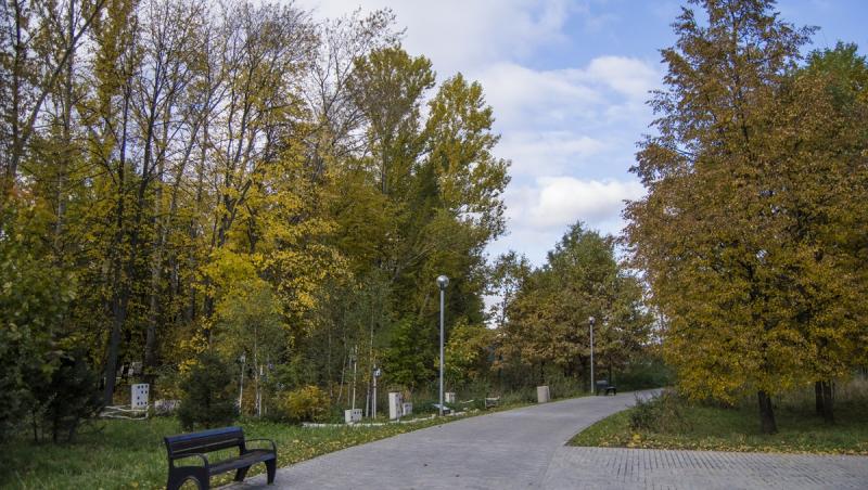 Mamă de 45 de ani, strivită de un copac sub privirile îngrozite ale copiiilor săi, într-un parc din Roma. Femeia se aşezase să se odihnească