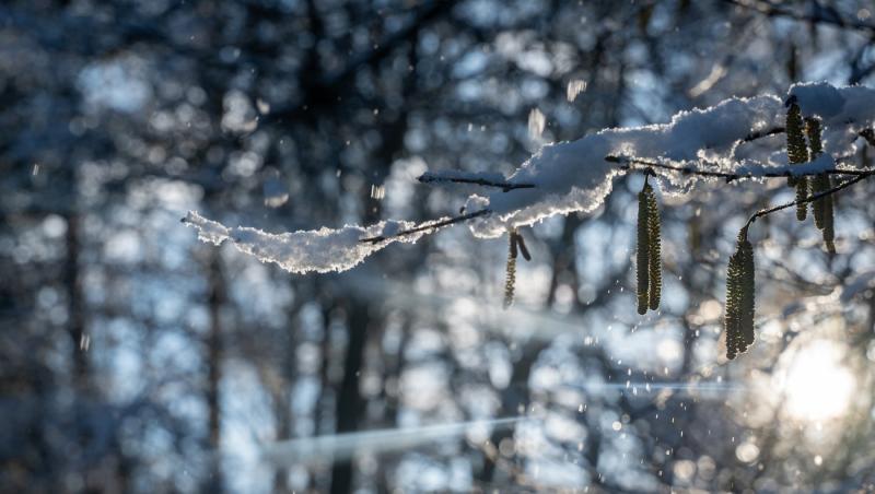 Vremea de mâine 29 decembrie. Va fi mai frig decât ziua precedentă. Minimle se vor încadra între -8 şi 2 grade