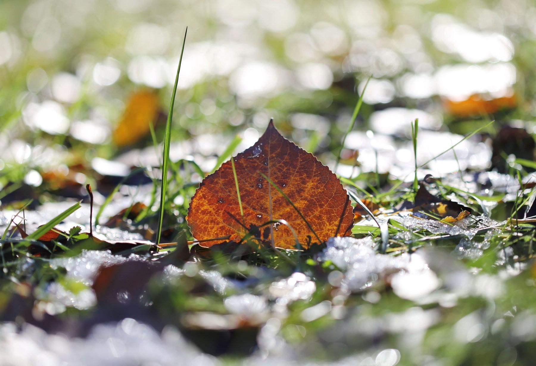 ANM a actualizat prognoza meteo pentru următoarele 4 săptămâni. Cum va fi vremea până la sfârşitul anului