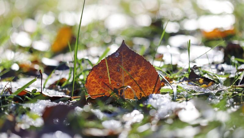 Cum va fi vremea până la sfârşitul anului. ANM a actualizat prognoza meteo pentru următoarele 4 săptămâni