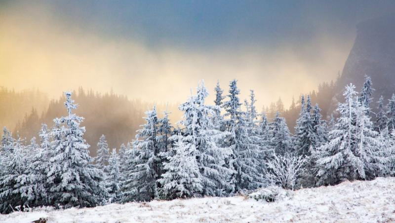 Vremea 1 - 27 ianuarie 2025. Prima lună a noului an aduce condiții meteo neobişnuite