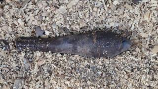 Bombă de aruncător din Al Doilea Război Mondial, găsită într-un pârâu din Harghita