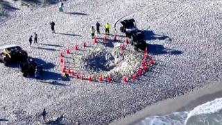 O fetiţă de cinci ani a murit, după ce a fost îngropată în nisip pe o plajă din Florida