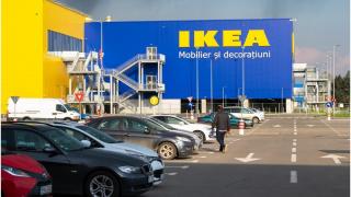 Reacția IKEA, după ce s-a reclamat o posibilă invazie de ploşniţe în magazinul din Pallady
